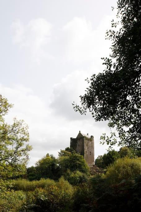 Dripsey Castle Estate Villa Cork Exterior photo